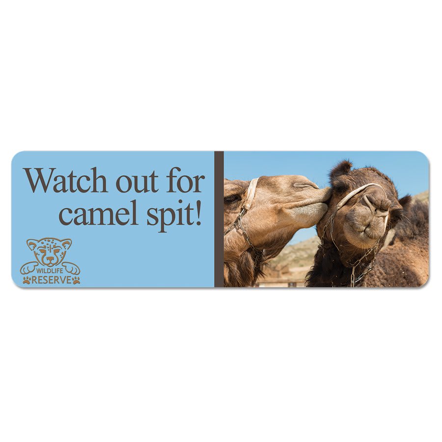 13 1/2" x 4" x .025" White Sublimatable UVSub Aluminum Street Sign