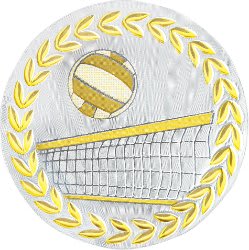 2" Metallic Volleyball Mylar