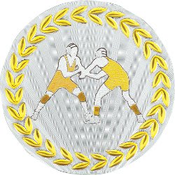 2" Metallic Wrestling Mylar