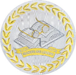 2" Metallic Reading Mylar