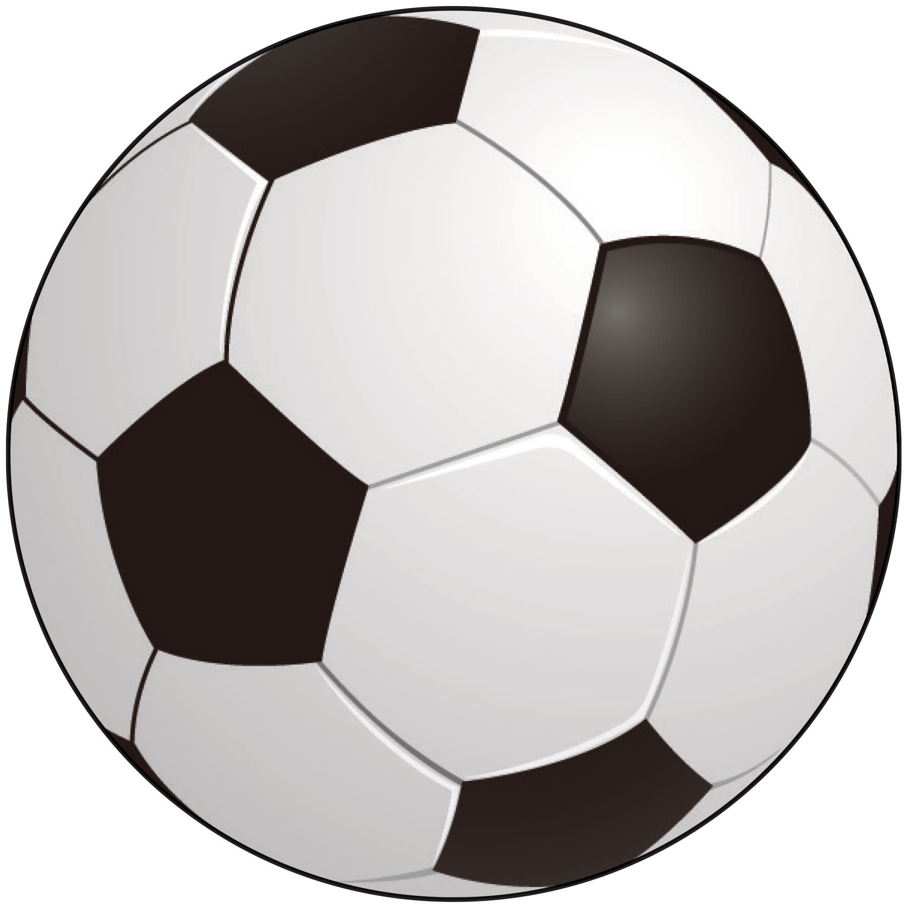2" Soccer Ball Sport Ball Insert