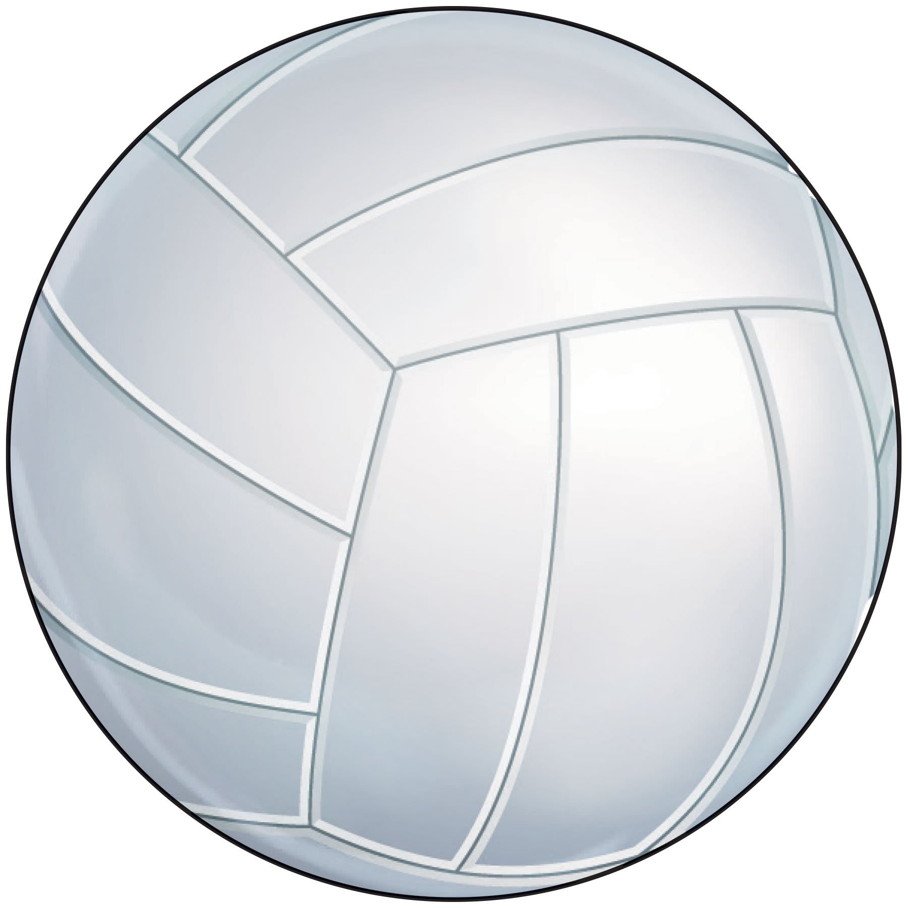 2" Volleyball Sport Ball Insert