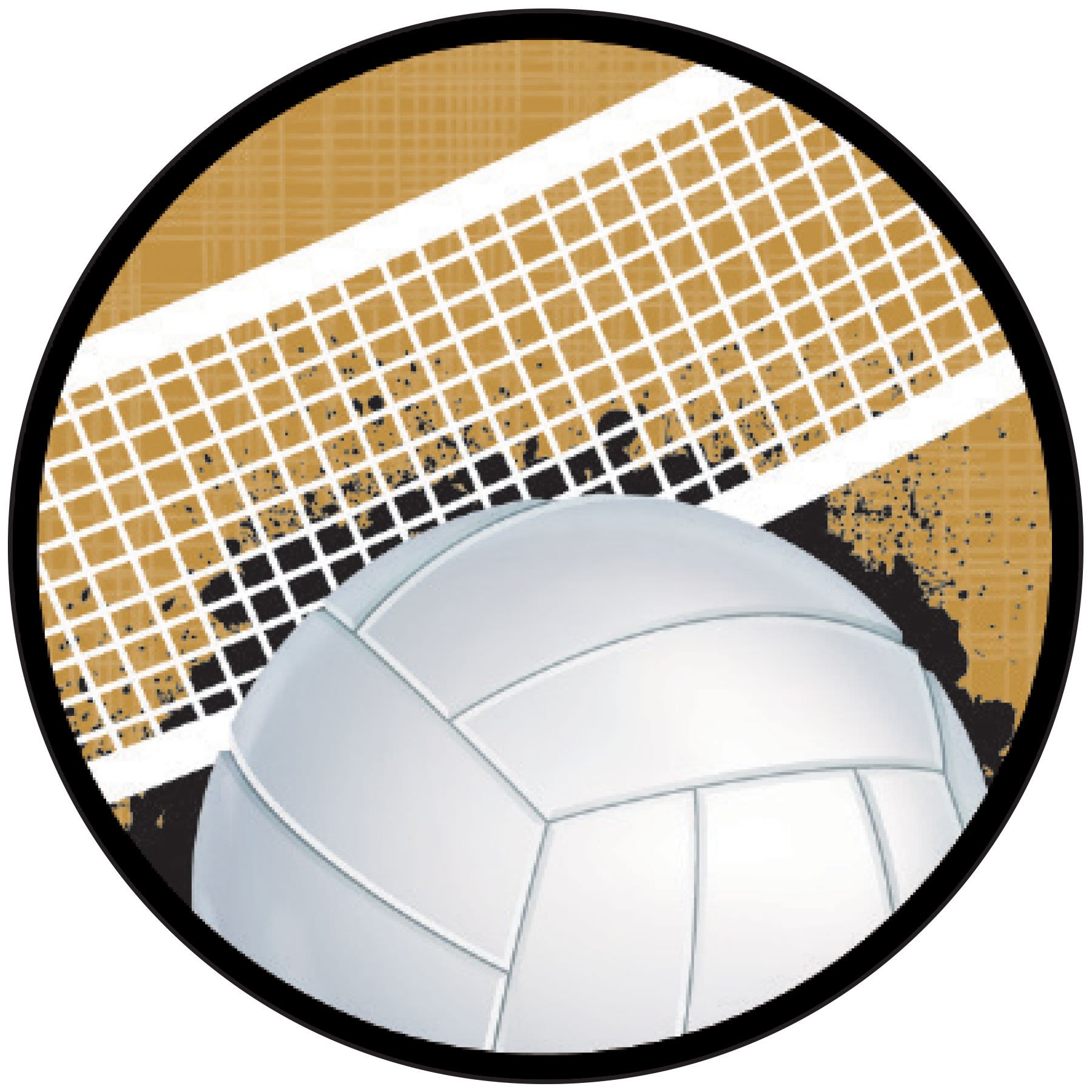 2" Volleyball Sport Activity Insert
