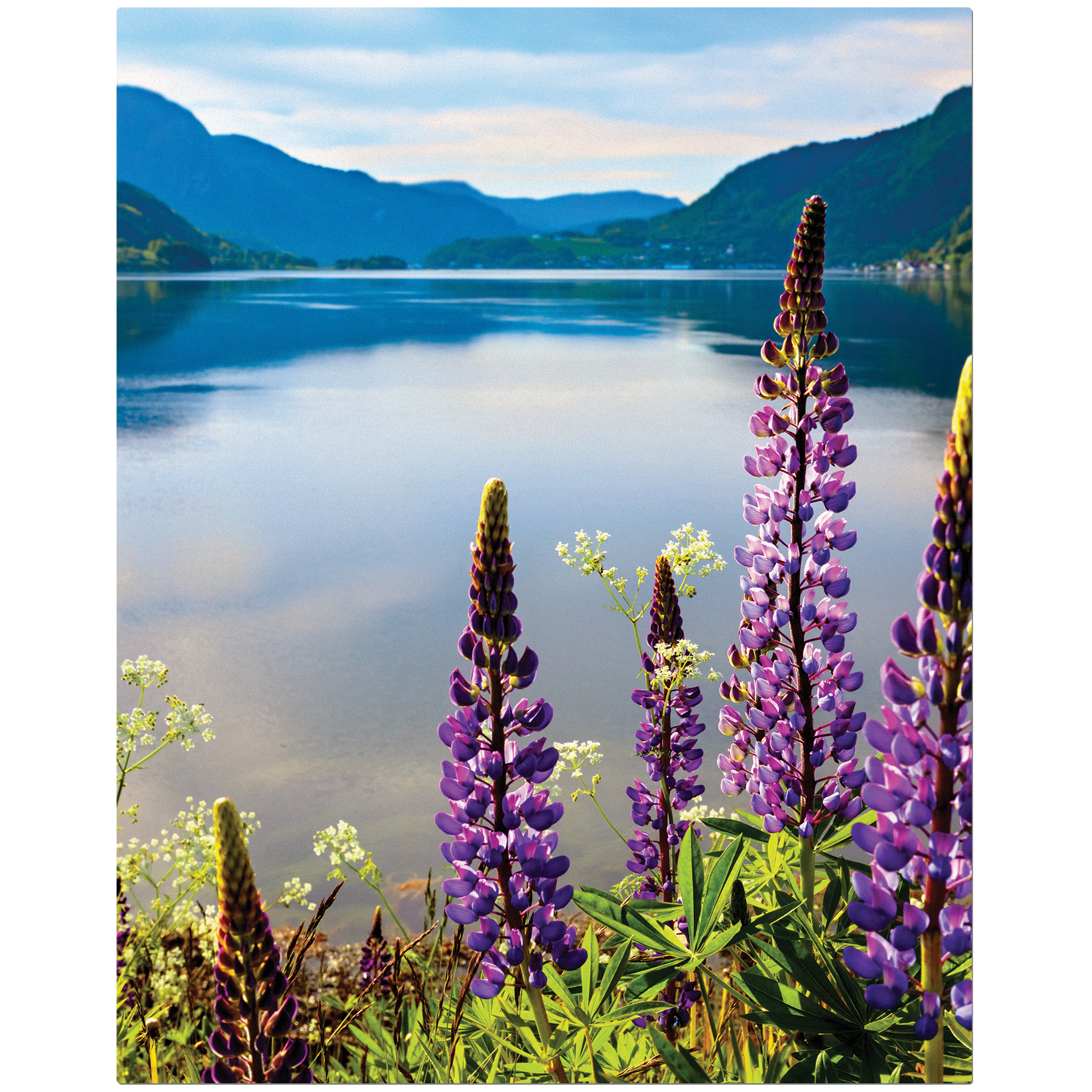 8" x 10" White ChromaLuxe Textured Aluminum Photo Panel