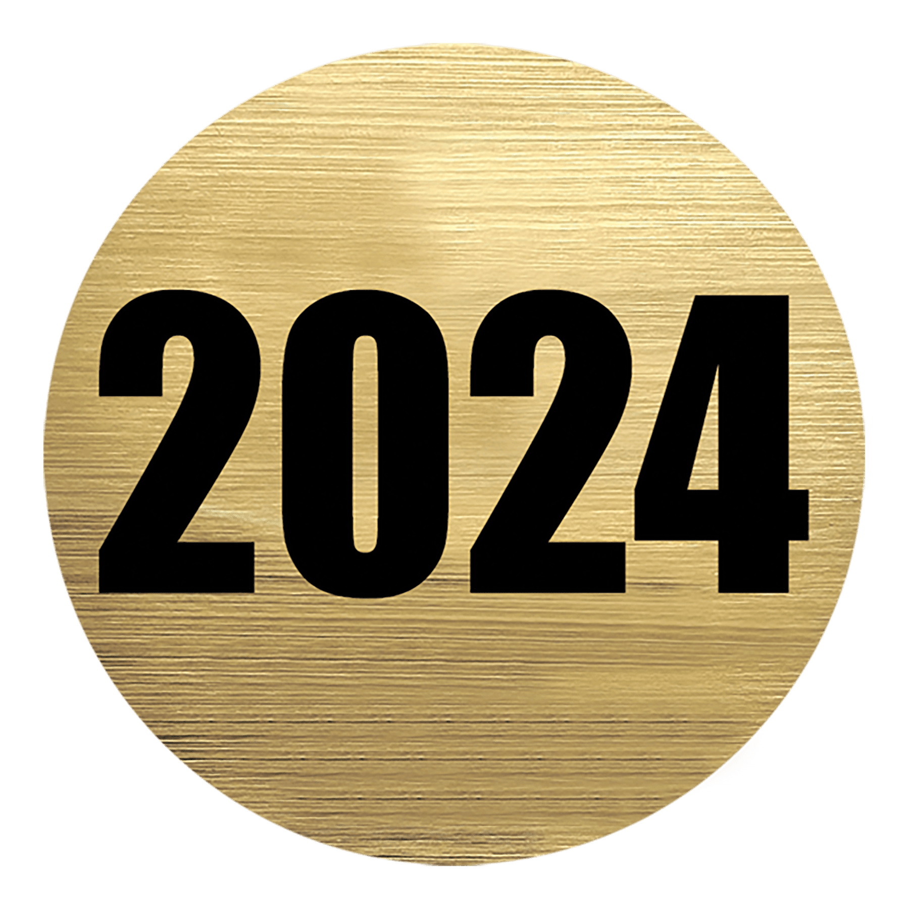 2" 2024 Activity Insert