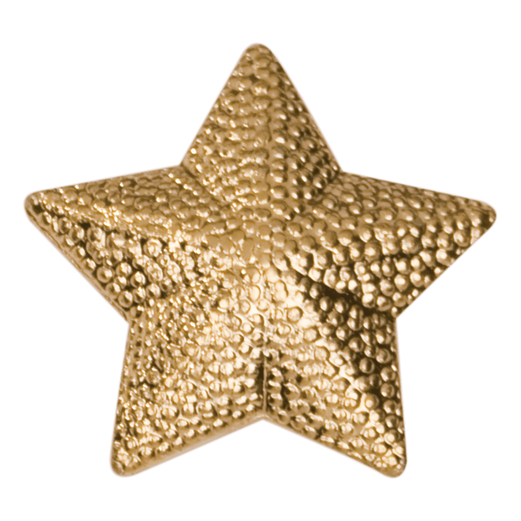 Gold Star Metal Chenille Letter Insignia