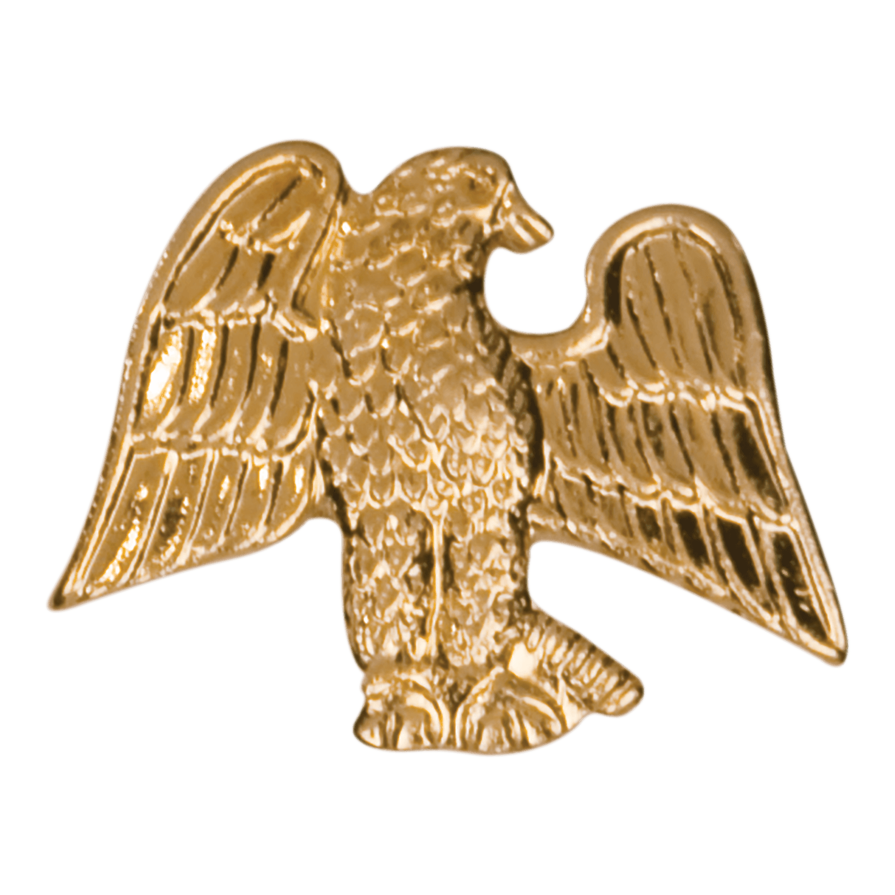 Gold Eagle Metal Chenille Letter Insignia