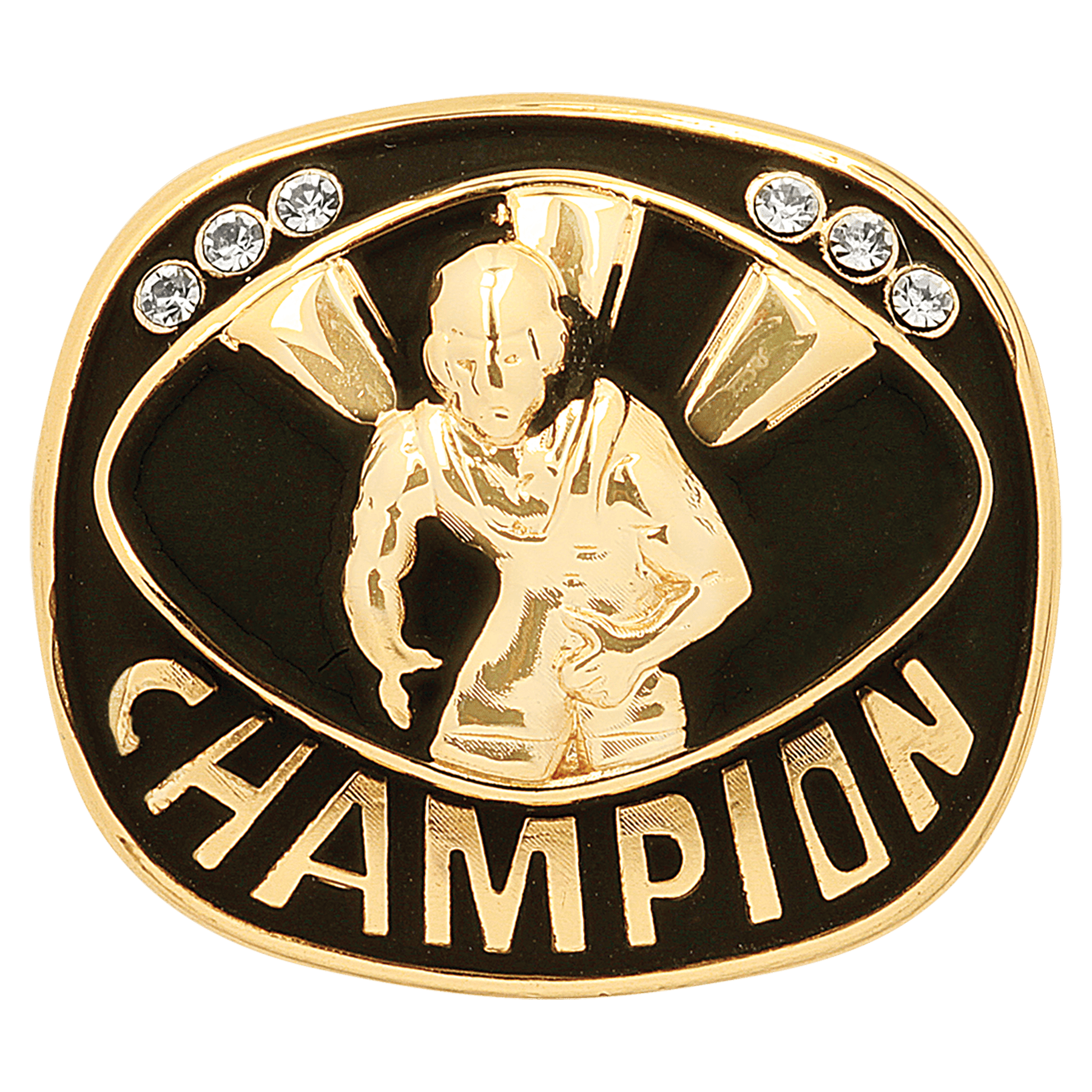 Gold Wrestling Champion Ring Insert