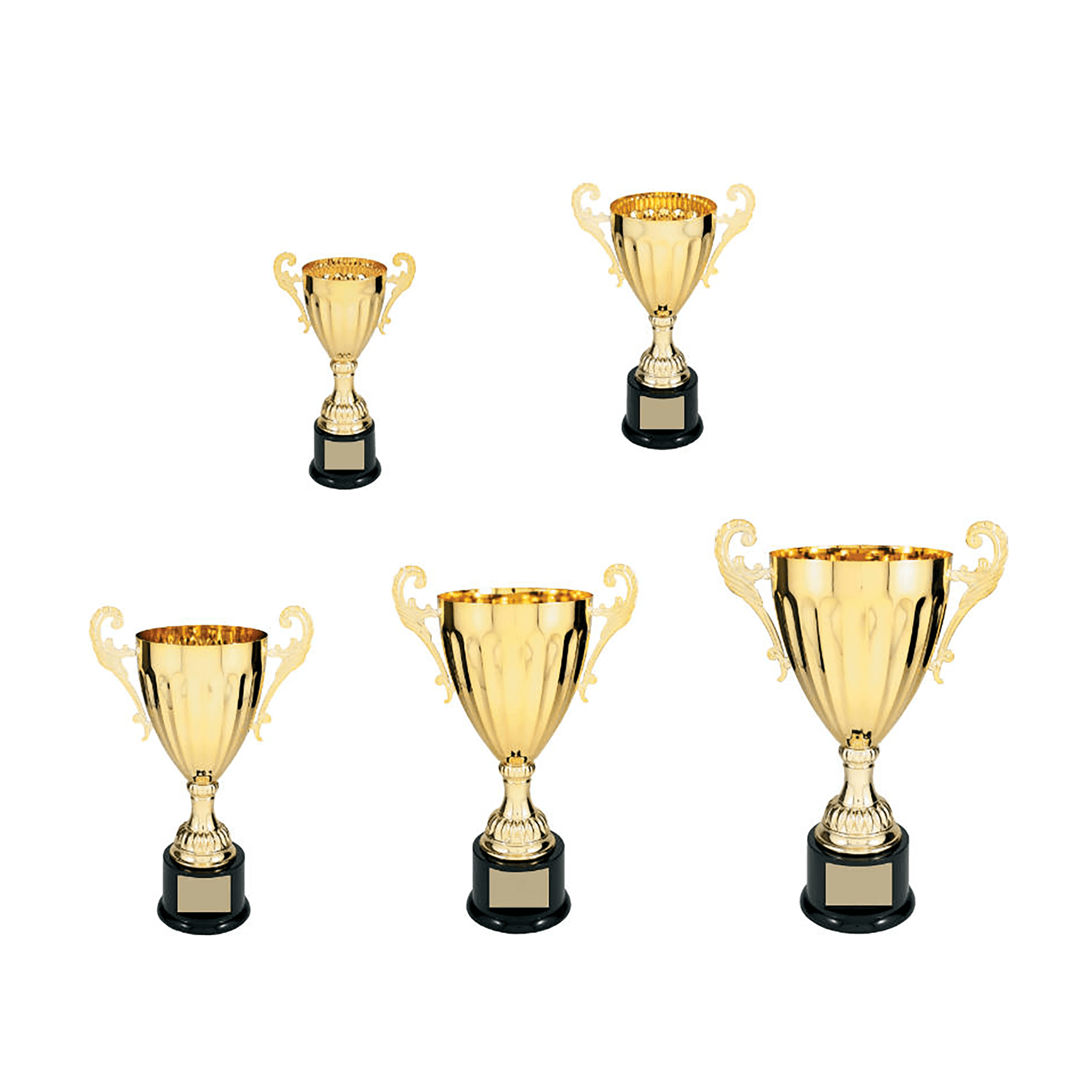 300 Series Gold Completed Metal Cup with Plastic Base Sample Set