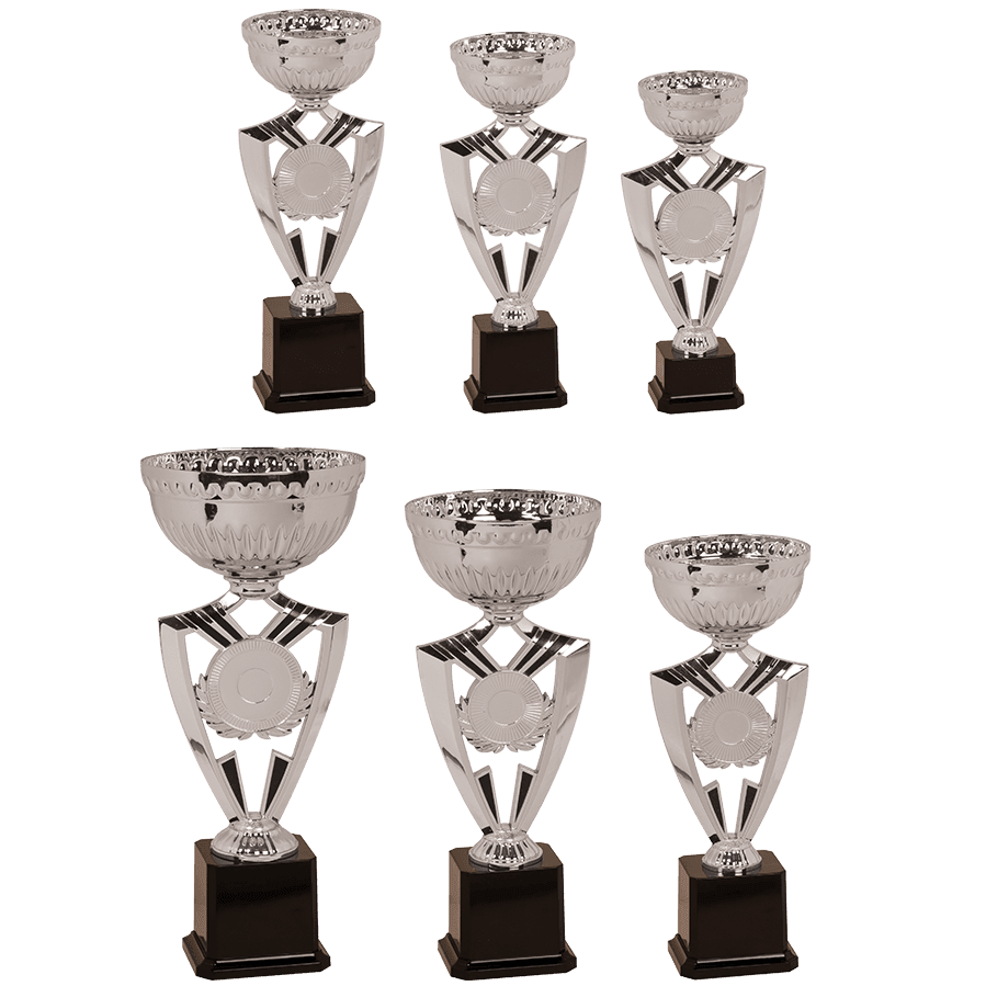 Silver Ribbon Holder Easy Cup Sample Set with 6 Cups