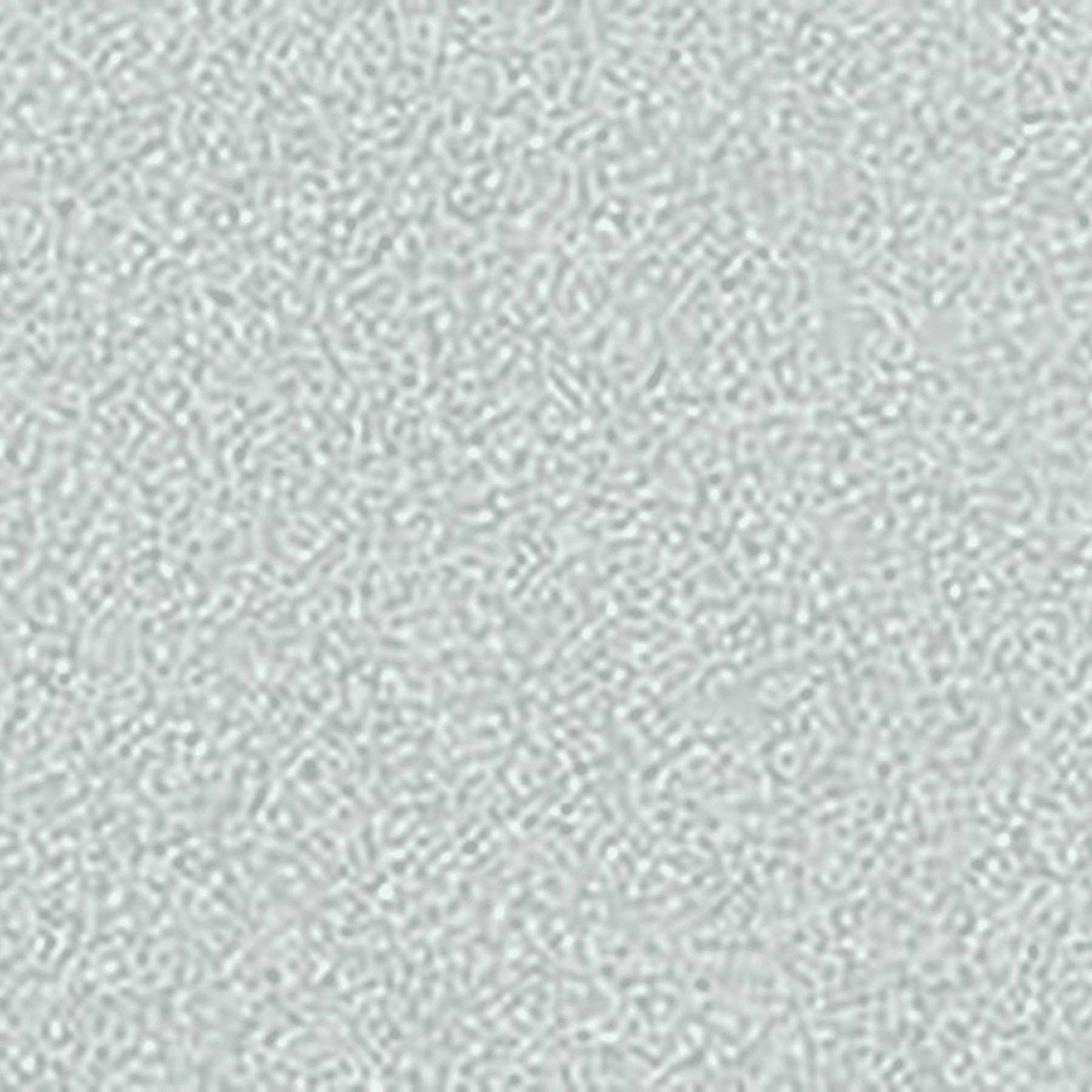 ORALITE® 5500 Engineer Grade Reflective 15" x 50yd White-Punched