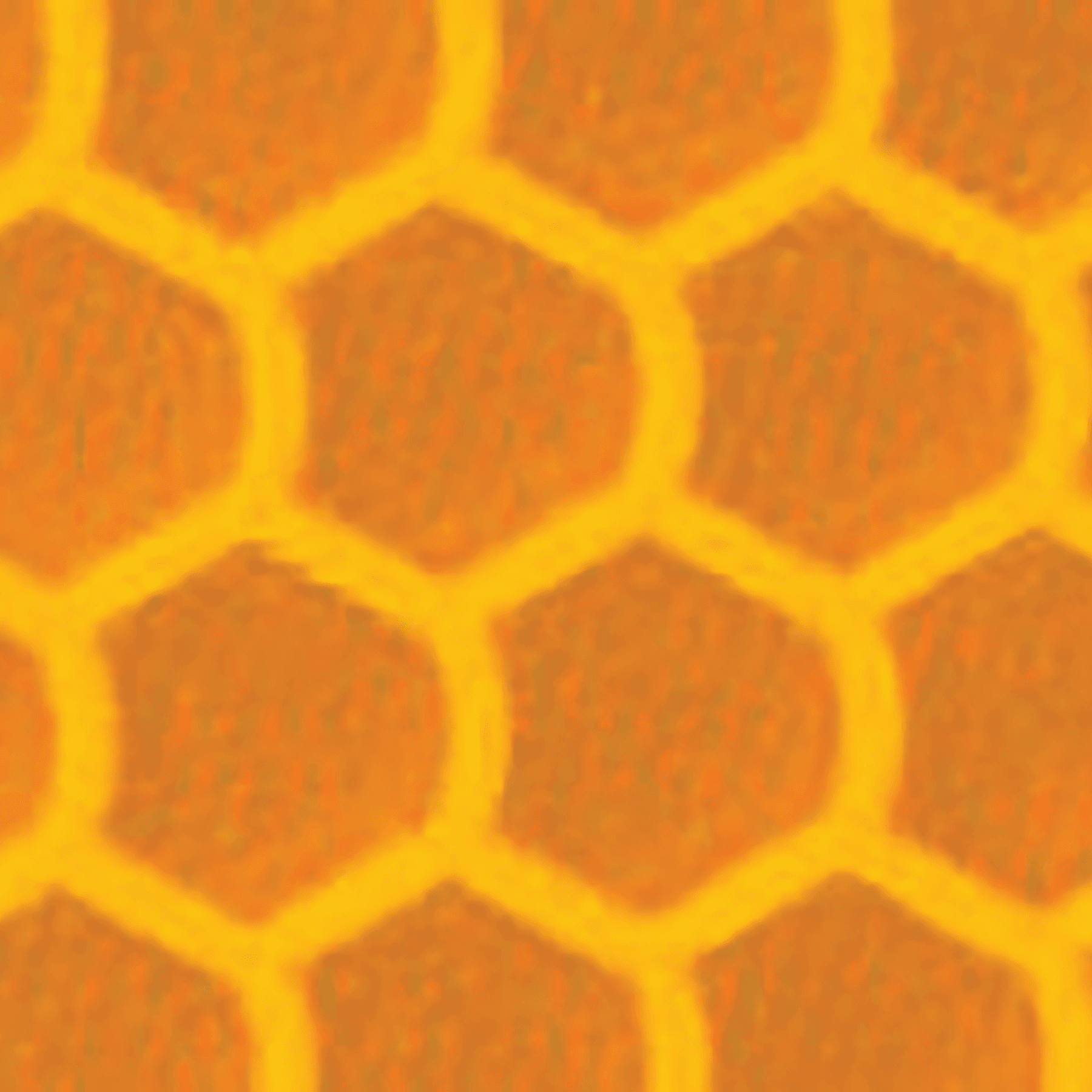 ORALITE® 5900 High-Intensity Prismatic Grade Reflective 30" x 50yd Yellow