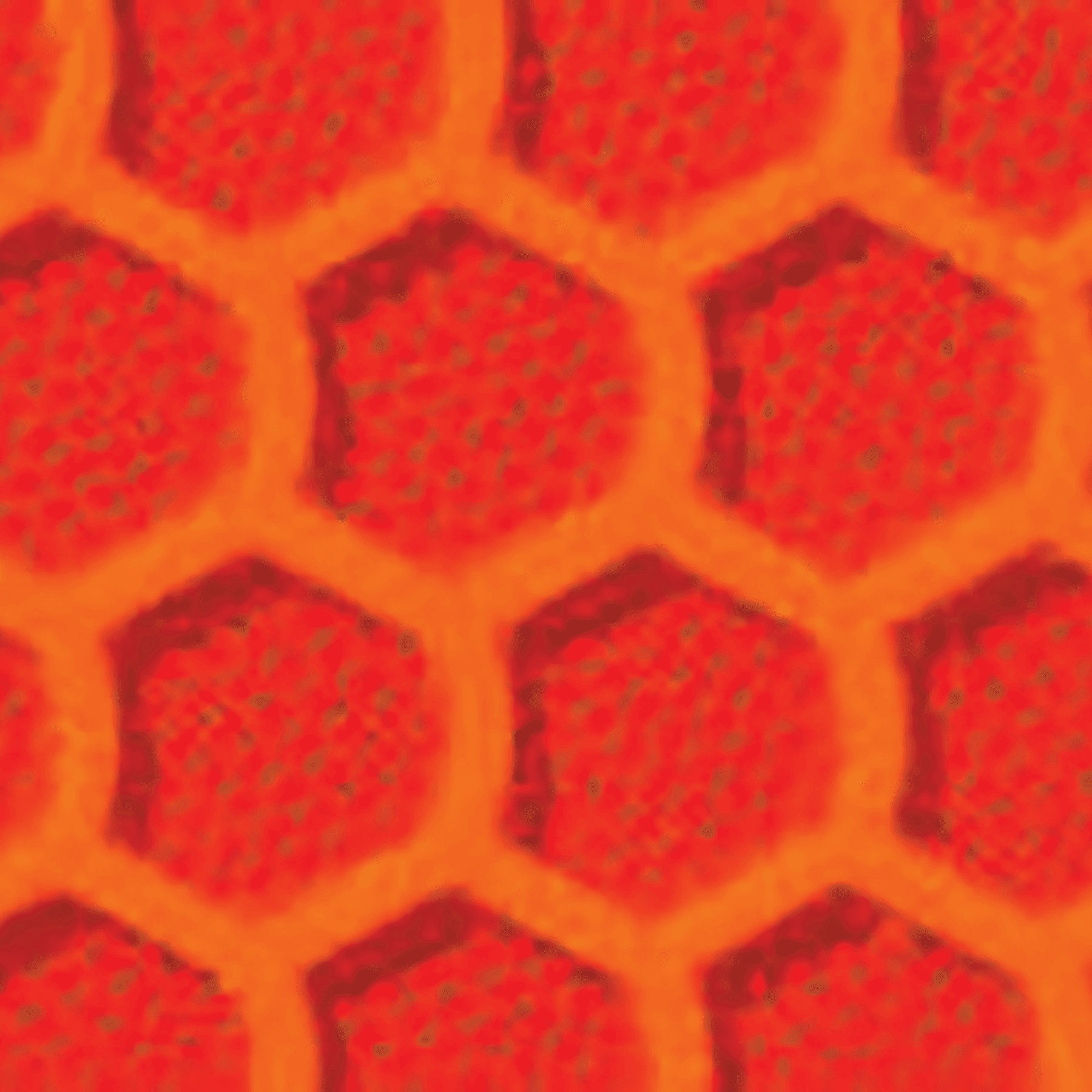 ORALITE® 5900 High-Intensity Prismatic Grade Reflective 36" x 50yd Orange