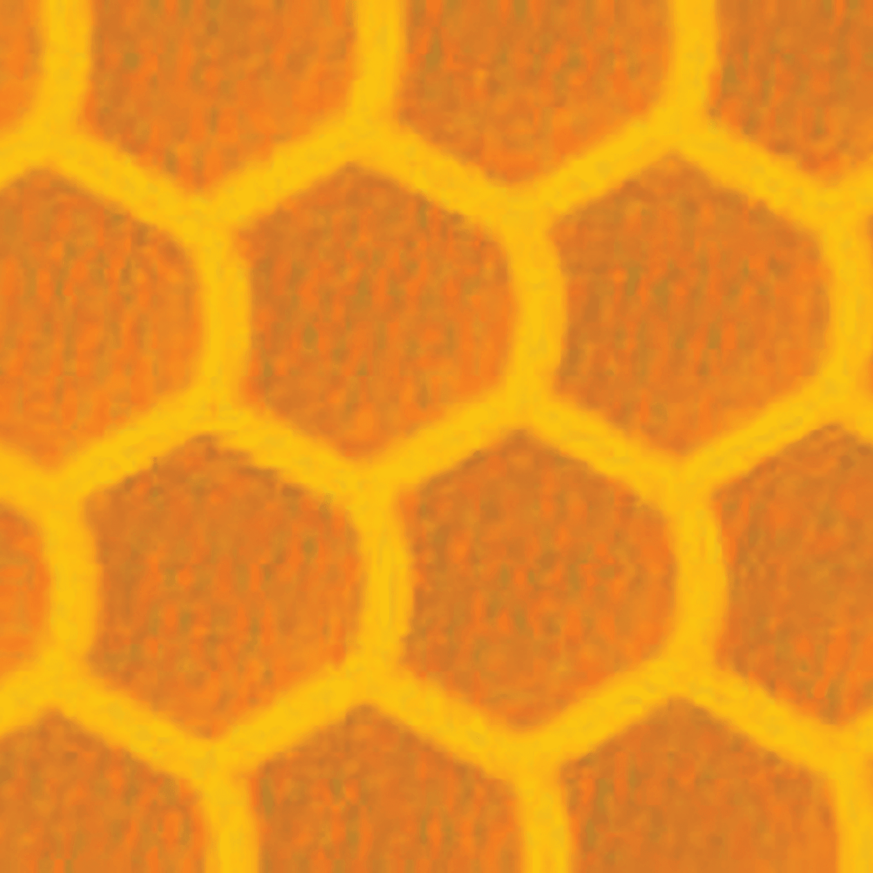 ORALITE® 9900 Brilliant Grade Premium Reflective 24" x 50yd Yellow