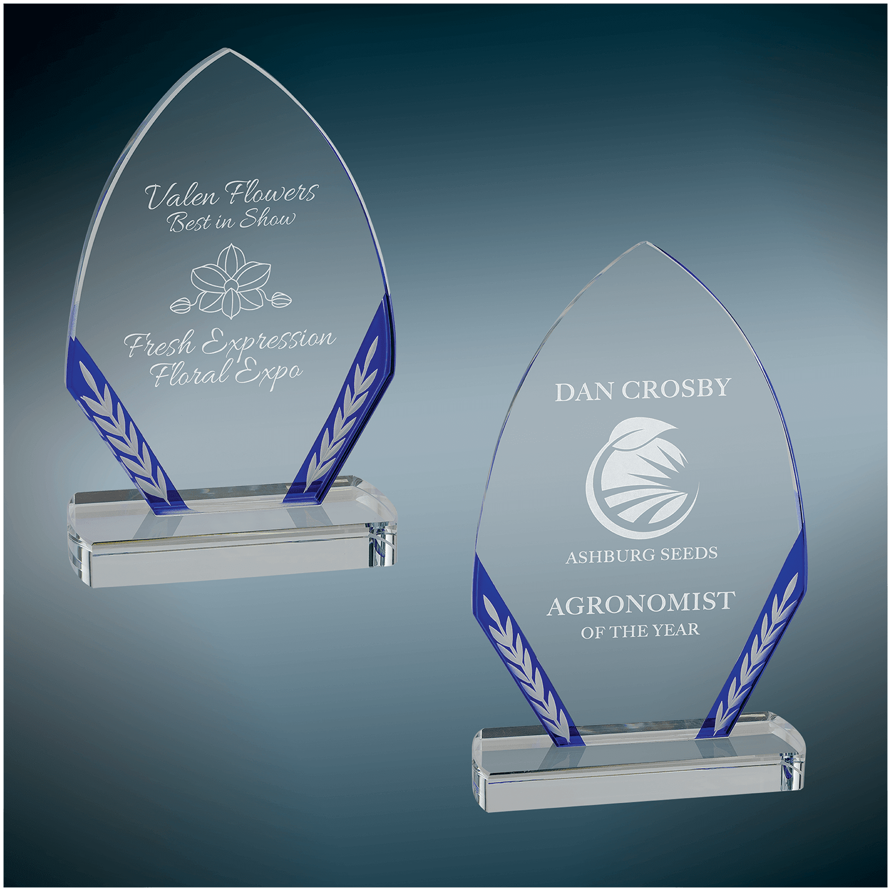 Blue Diamond Edge Glass Sample Set