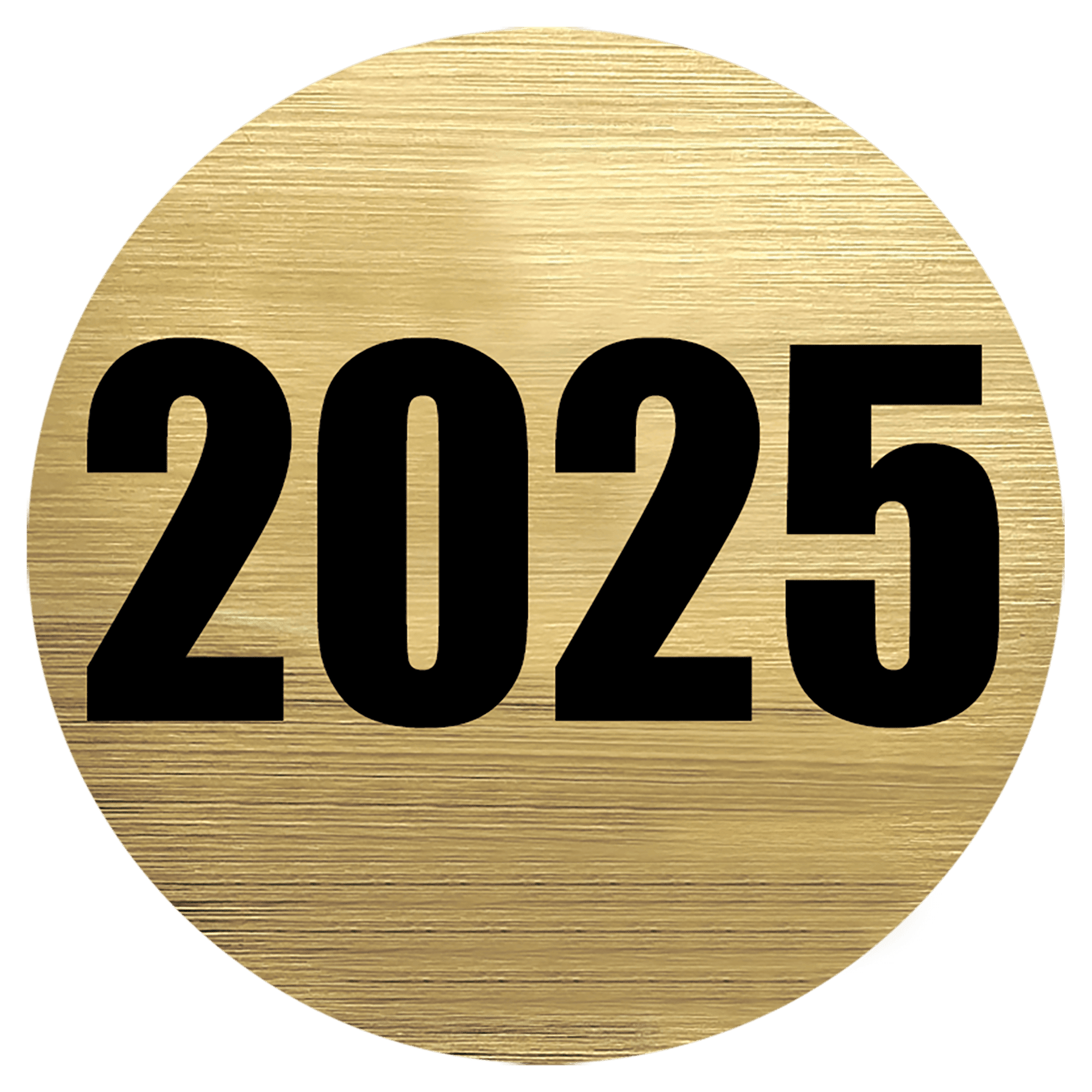 2" 2025 Activity Insert