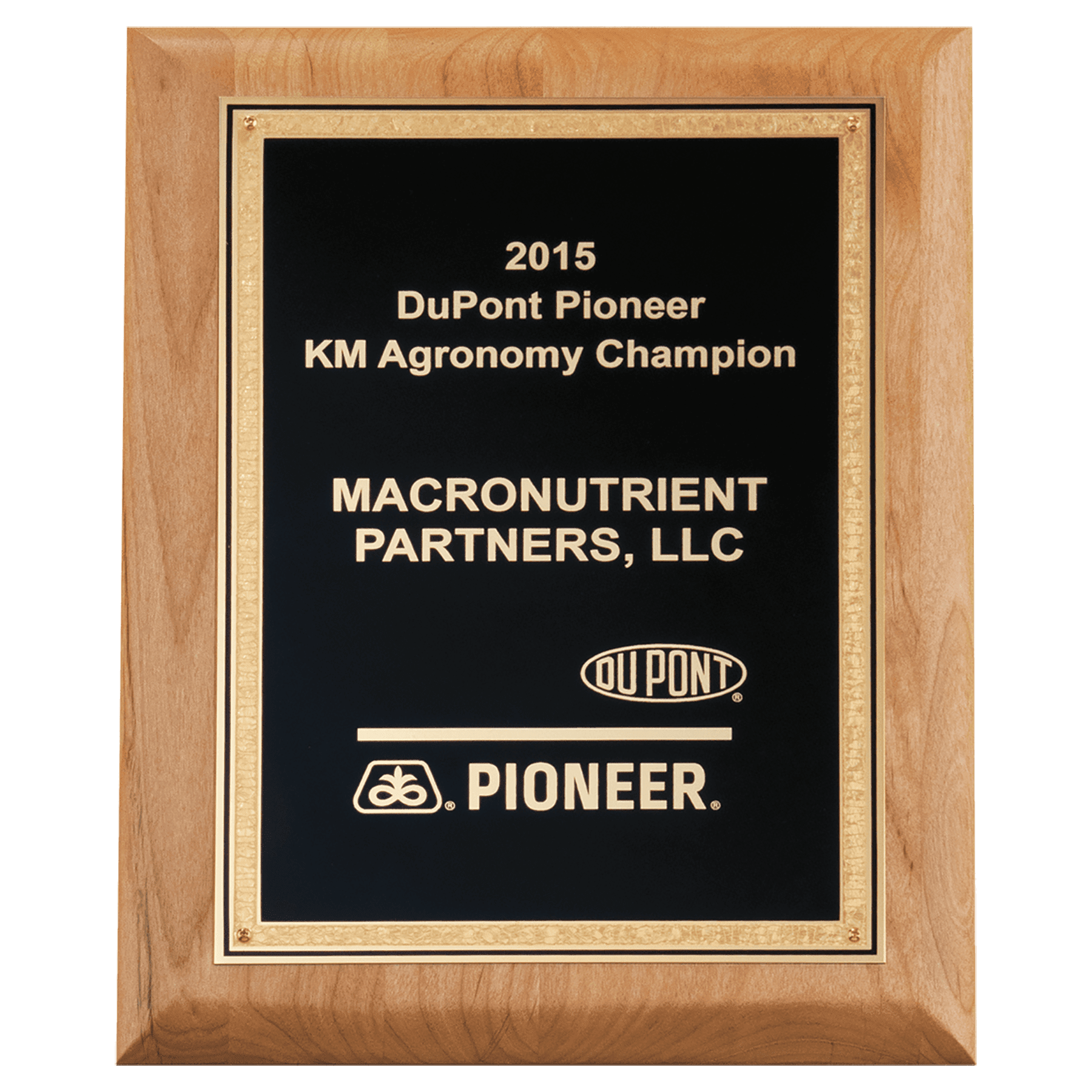 9" x 12" Natural Alder Wood Plaque with Black Textured, Gold Florentine Bordered LaserFX Plate