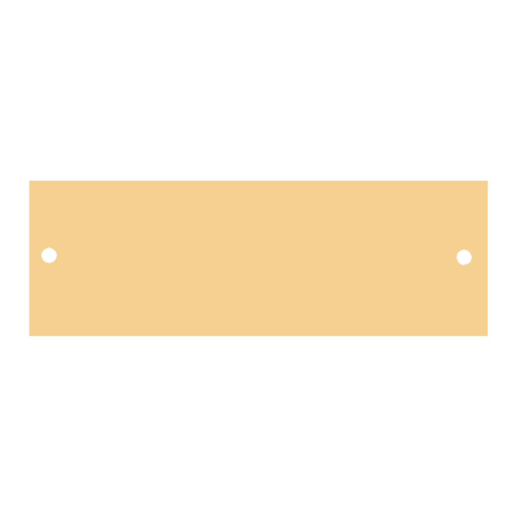 7/8" x 2 3/4" Polished Brass Plate with Two Holes