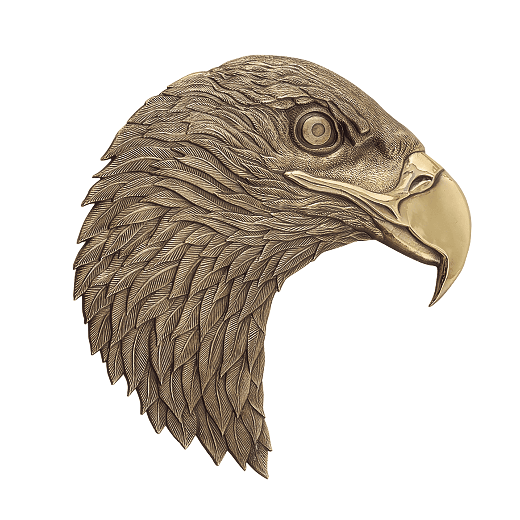3 1/2" x 3 3/4" Antique Bronze Eagle Head