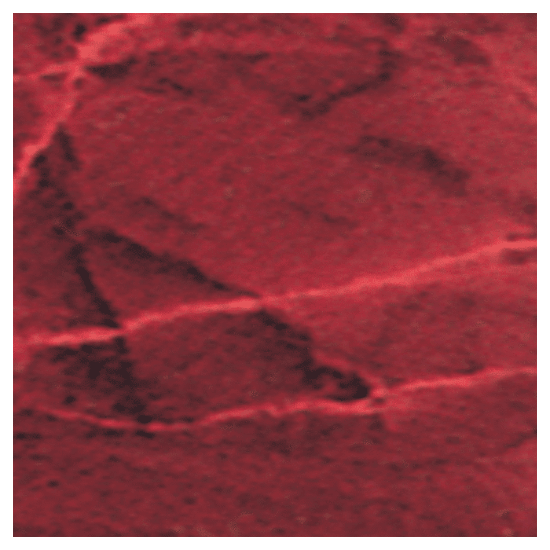 12" x 24" Ruby Marble Laserable Brass Sheet Stock with Protective Cover