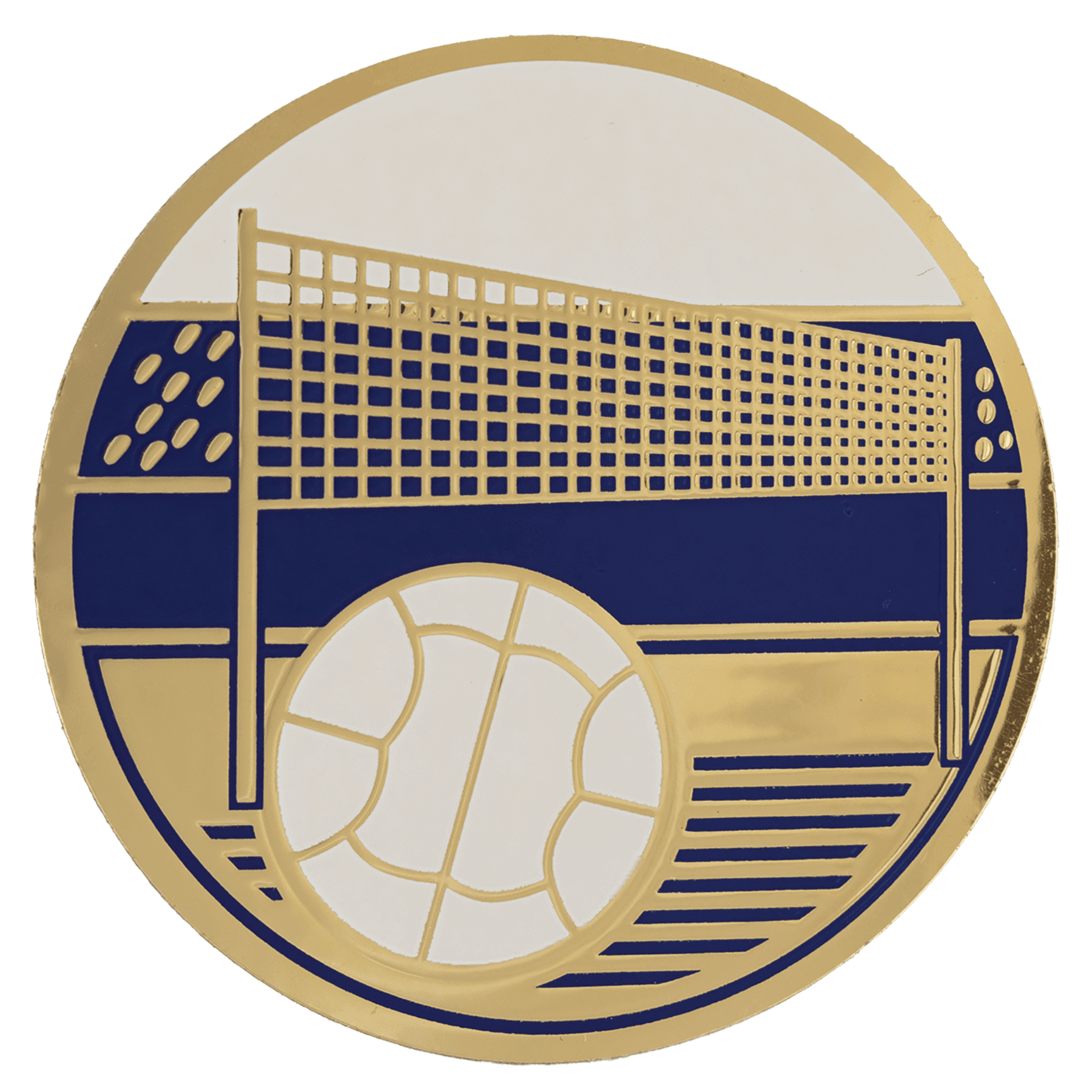 2" Volleyball Activity Insert