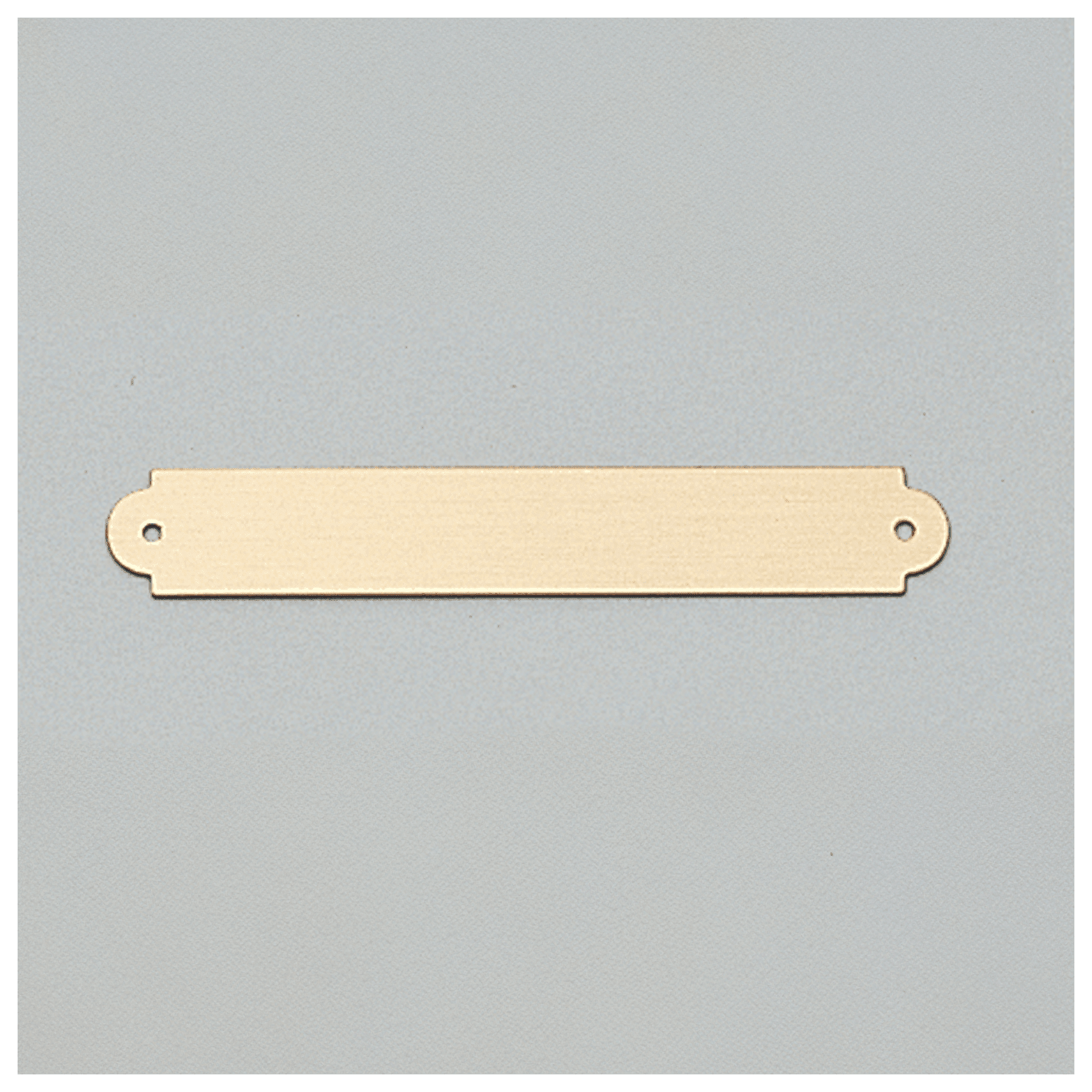 3/8" x 2 1/2" Brushed Gold Brass Plate with Two Holes