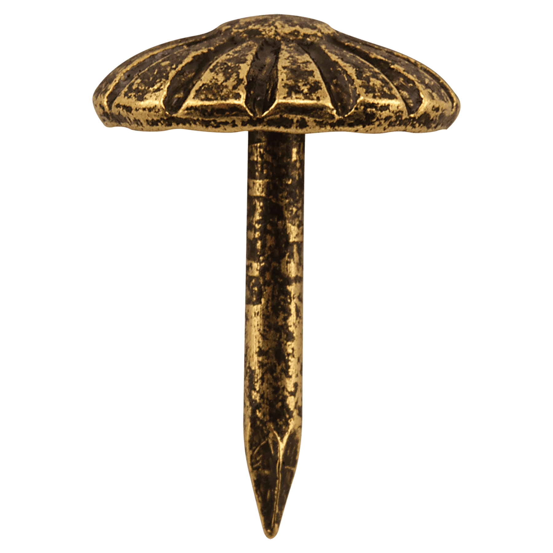 3/8" Gold Domed Head Plaque Nail