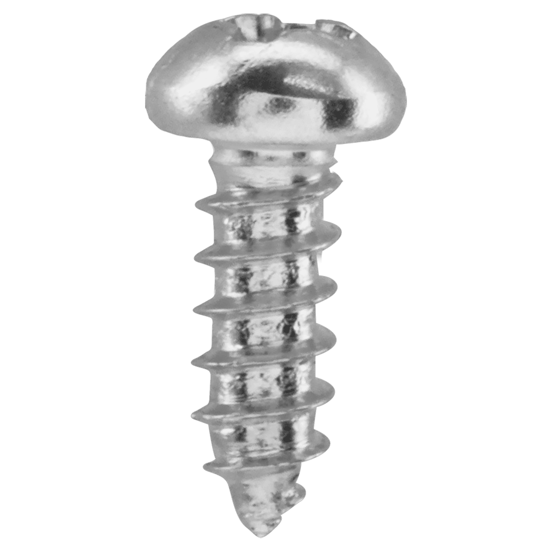 1/4" Silver Phillips Screw