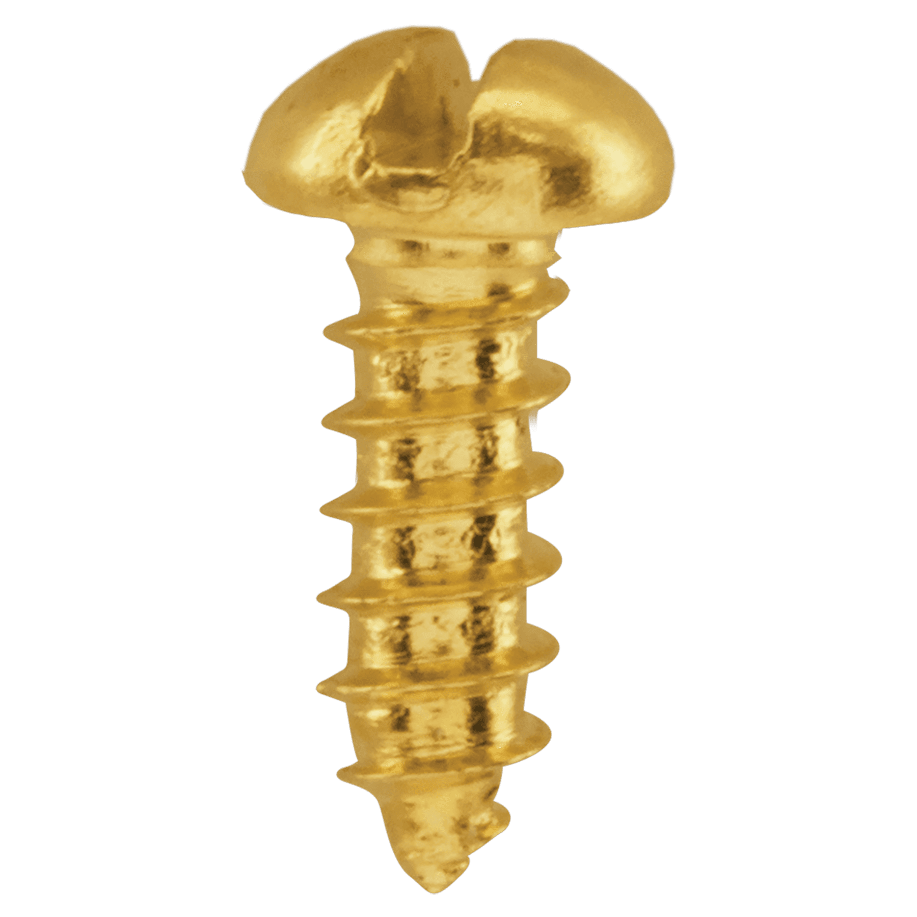 1/4" Gold Slotted Screw