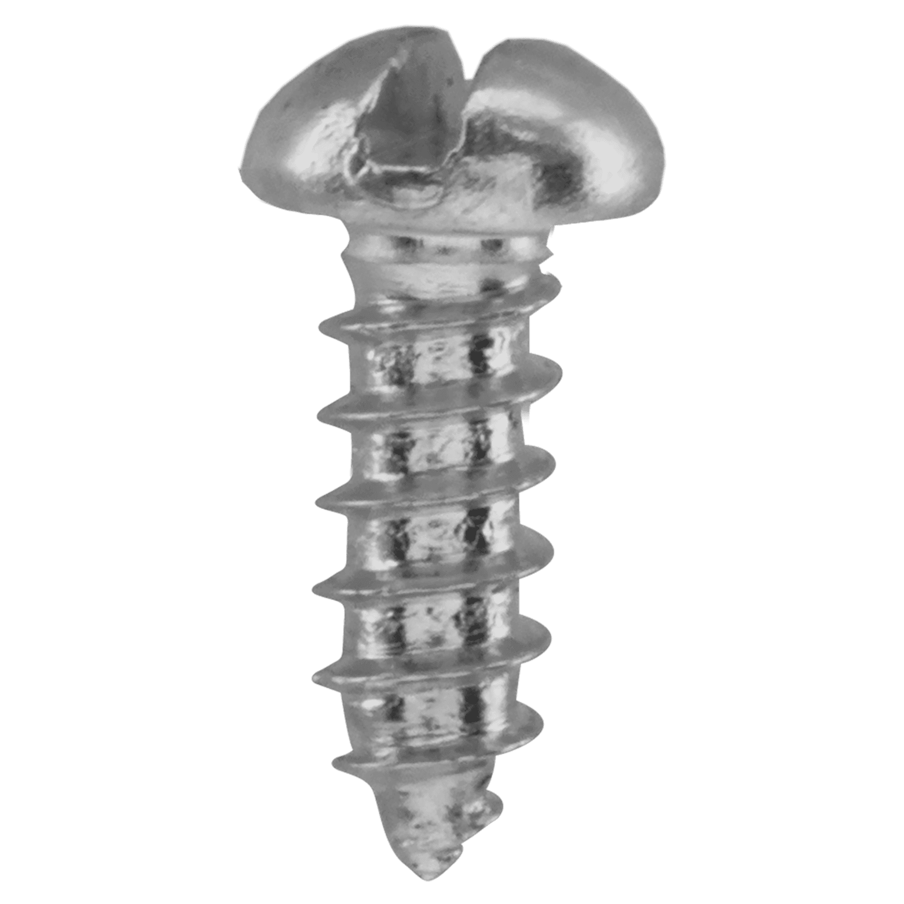 1/4" Silver Slotted Screw