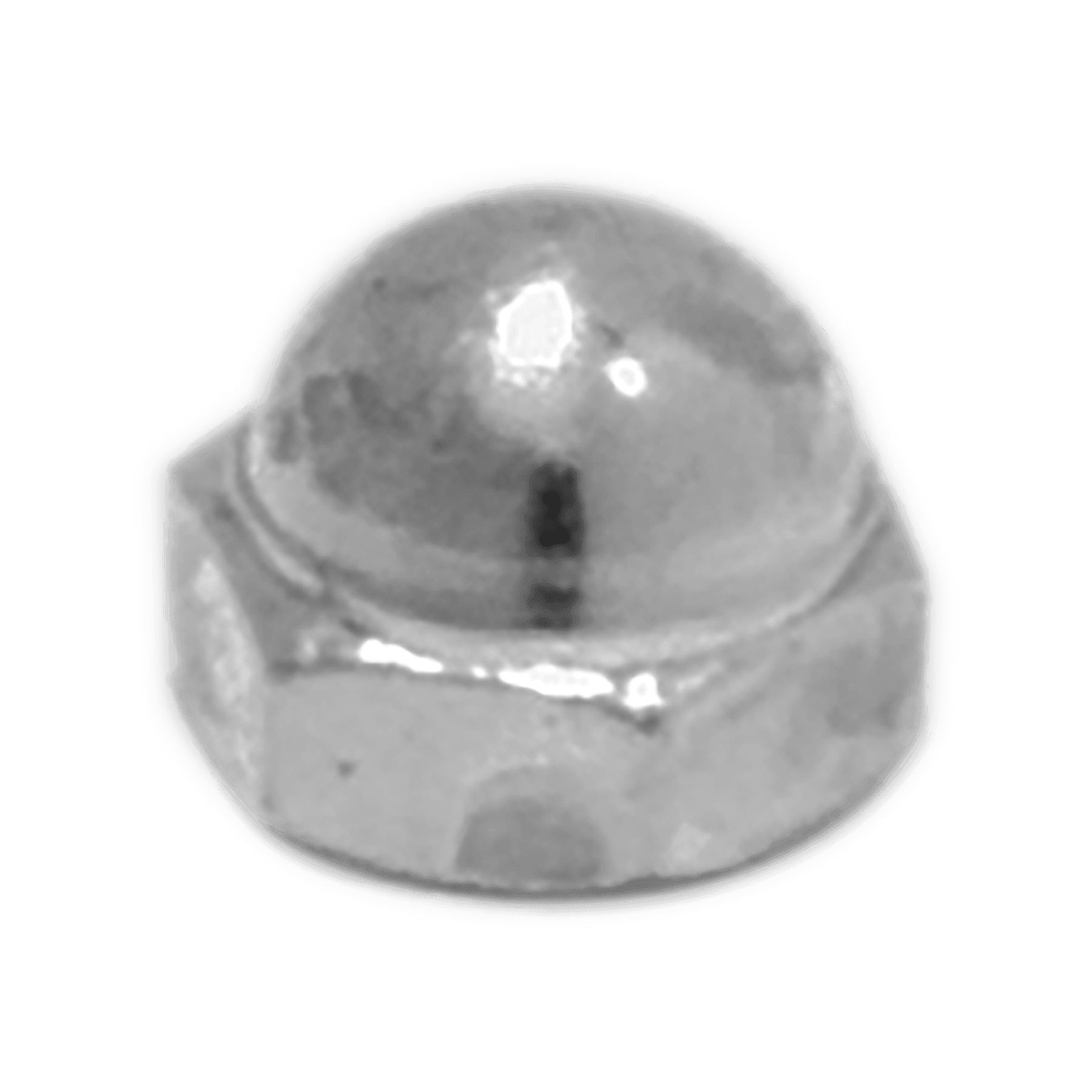 Silver Cap Nut