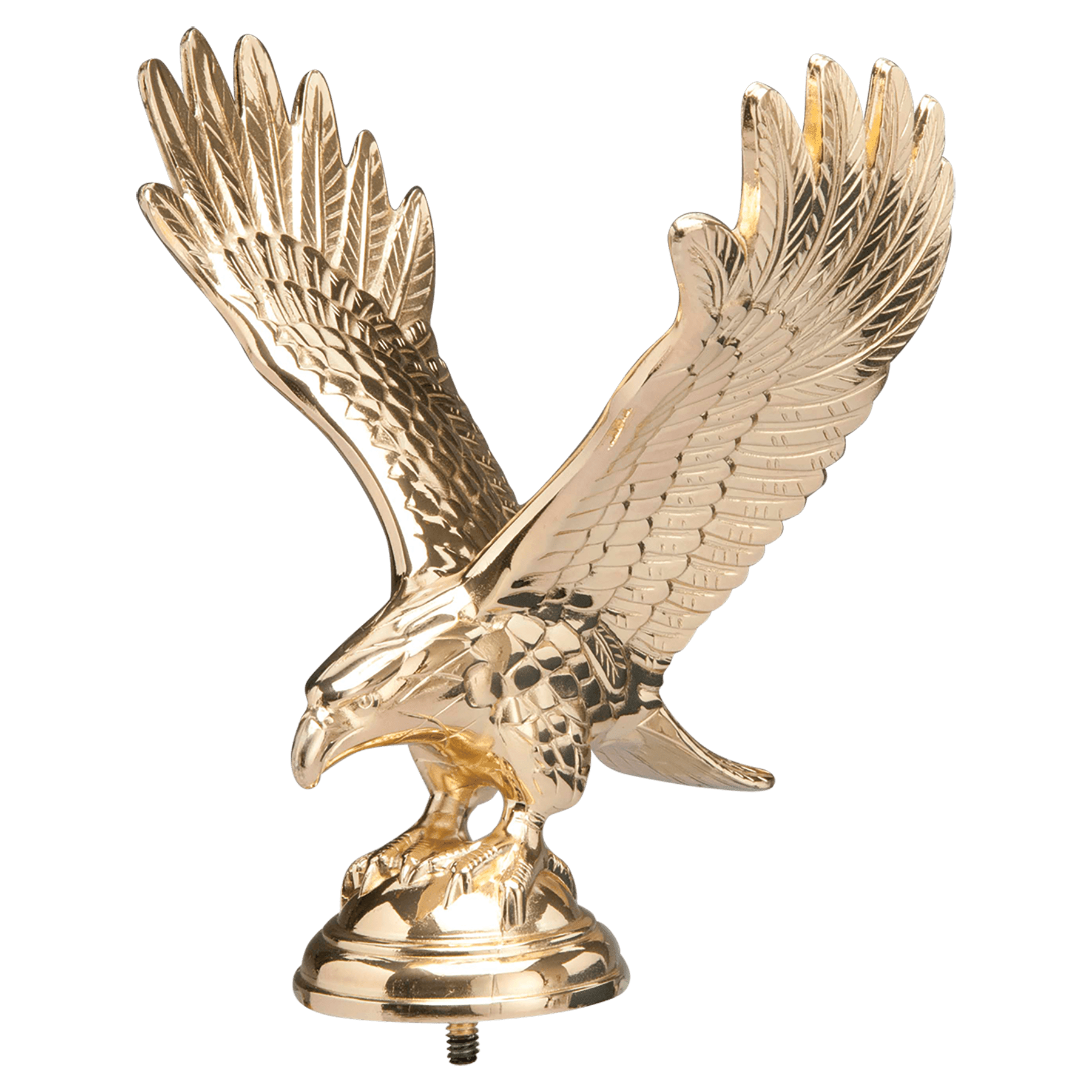 7 1/4" Brass Plated Large Eagle with Stud