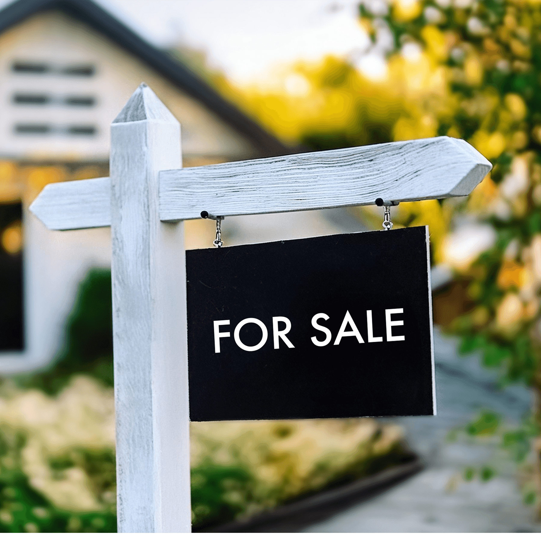 Matte White, Clear Adhesive, Economy Print Solution, 54" x 150'