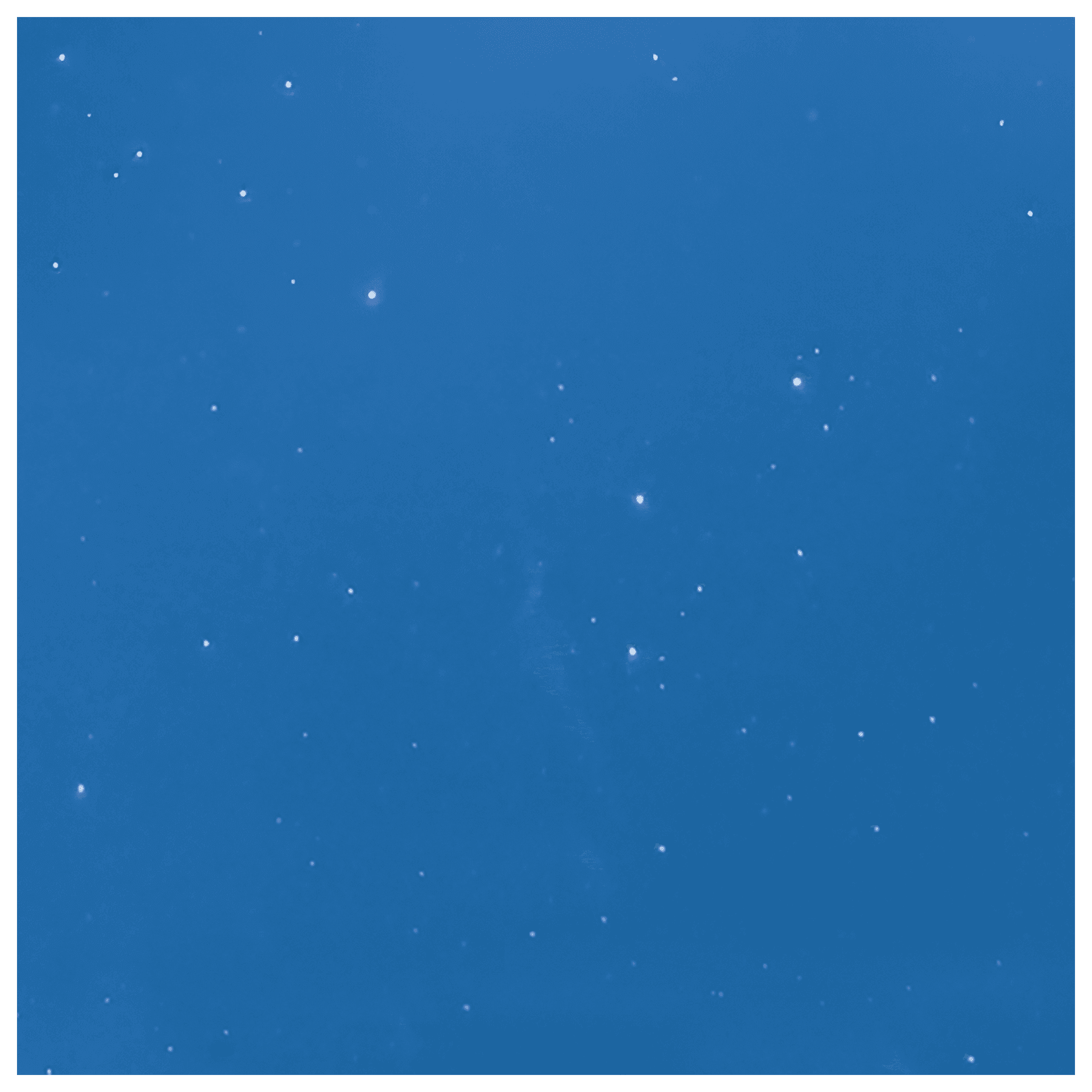 Gloss YaasBluePro Paint Protection Film 60" x 50'