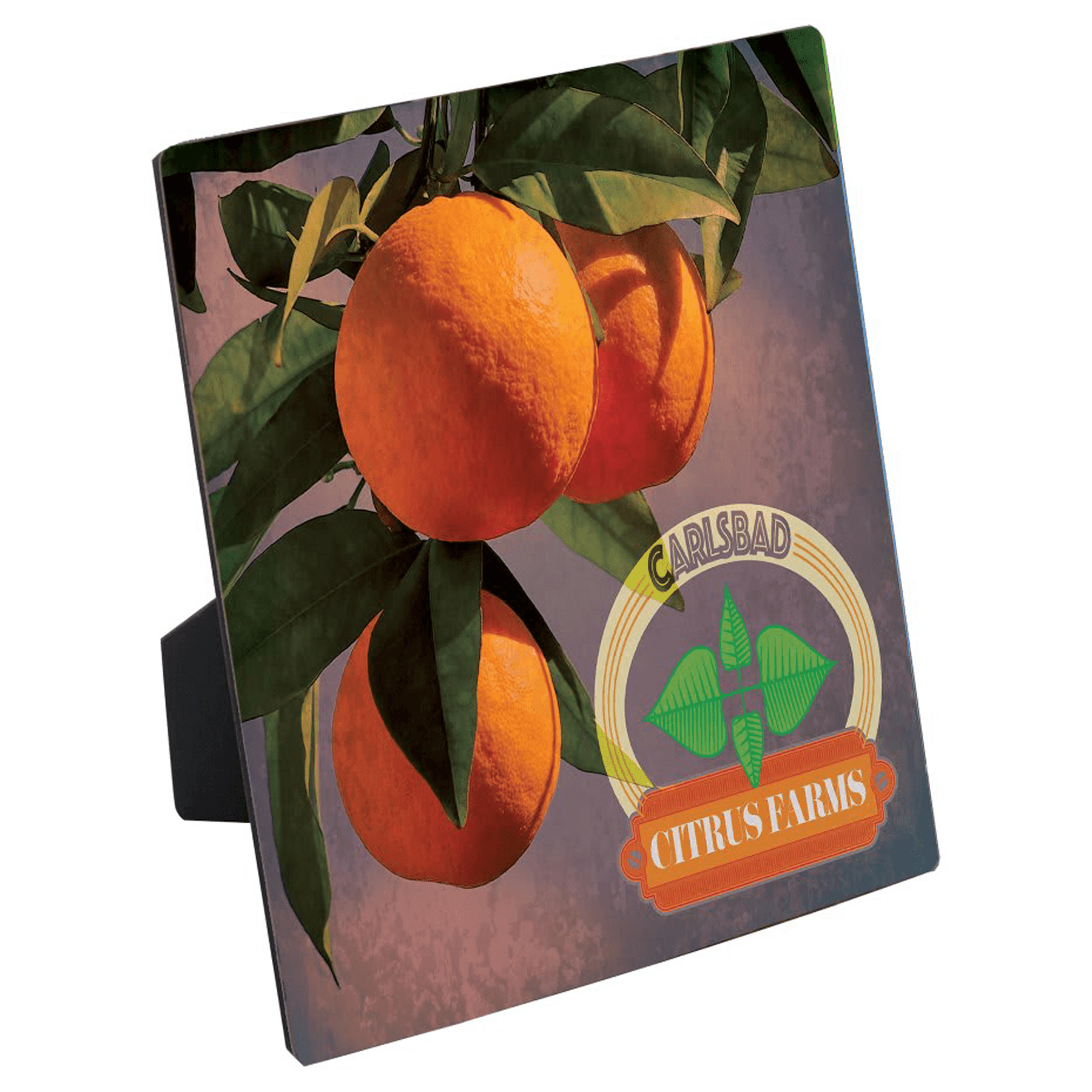 6" x 6" ChromaLuxe Flat Top Photo Panel with Easel