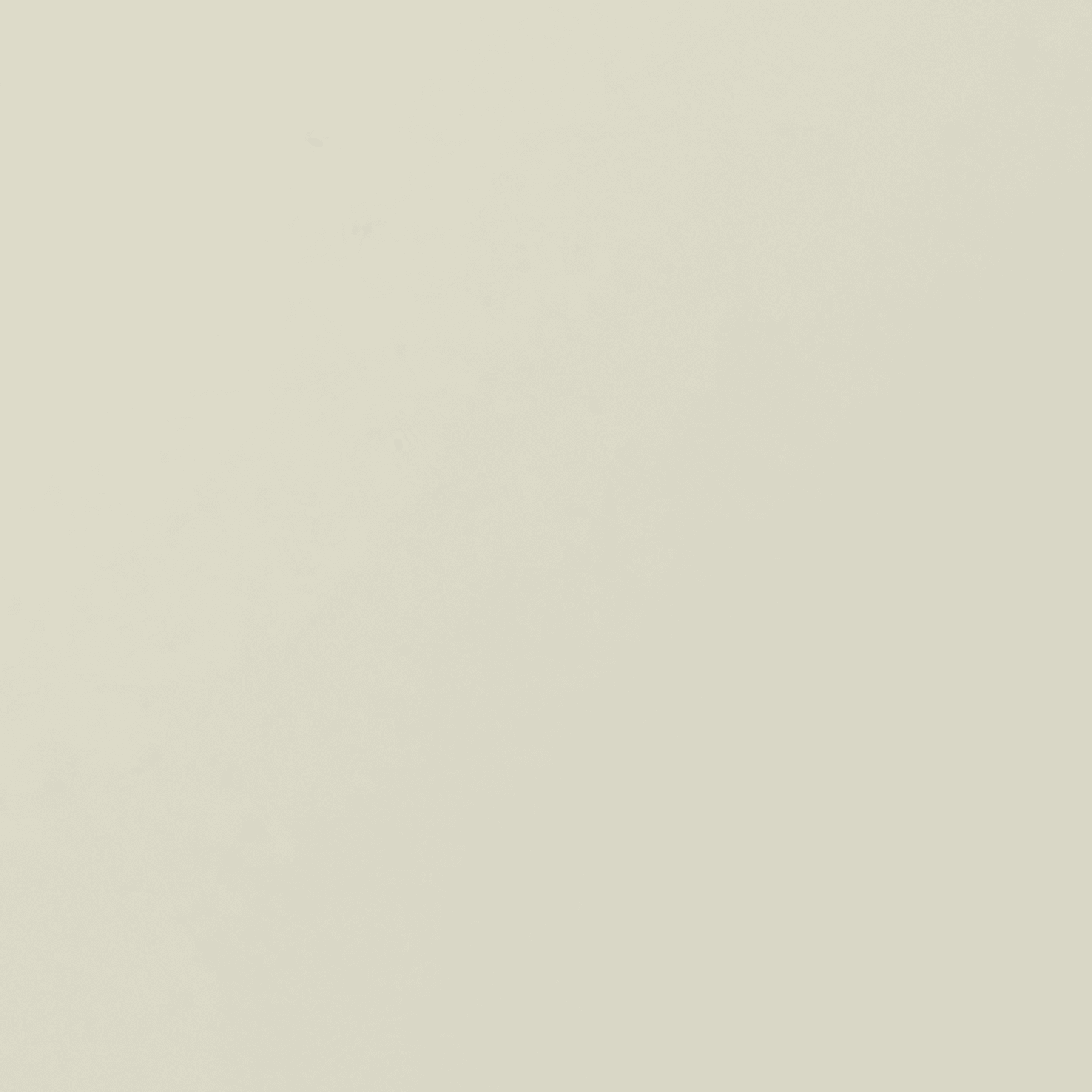 24X49 Duets Applique Glow/Matte 1/32 With Orafol Adhesive