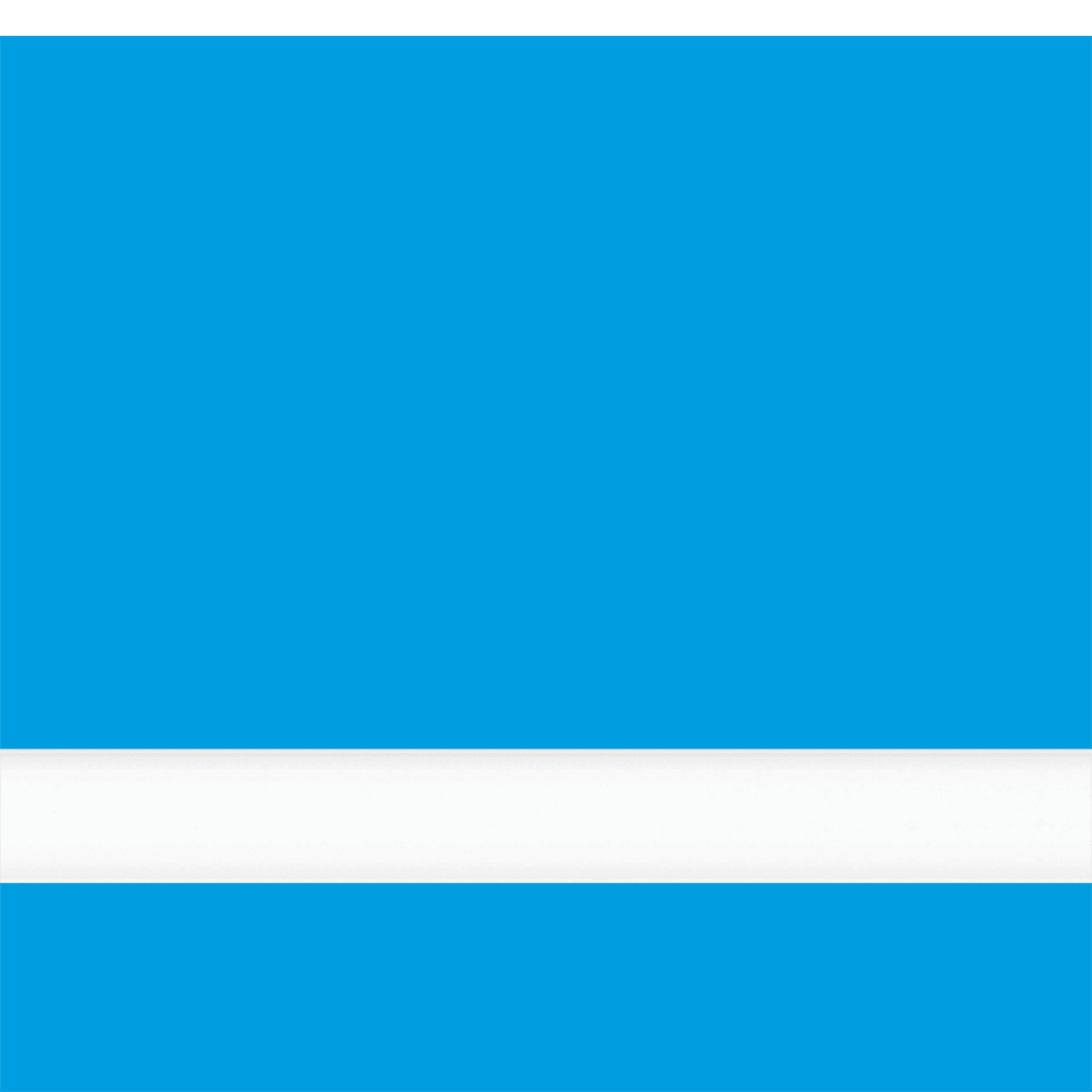 24X49 Duets Light Blue/White 1/8 Laser Xt With Dura Guard