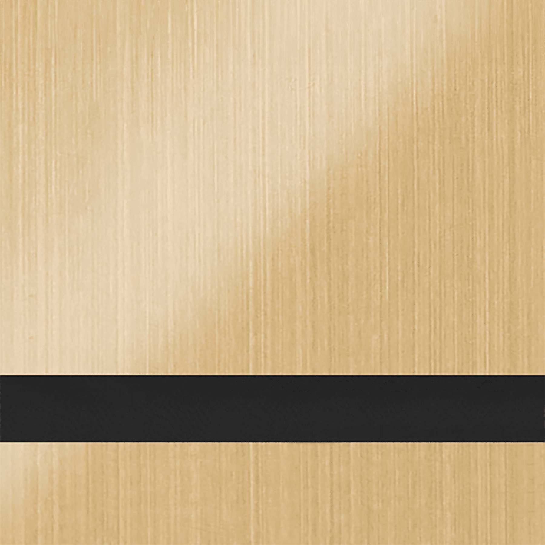 24X49 Duets  Brushed Satin Gold/Black 1/8 Laser Indoor Metals With Clear Guard