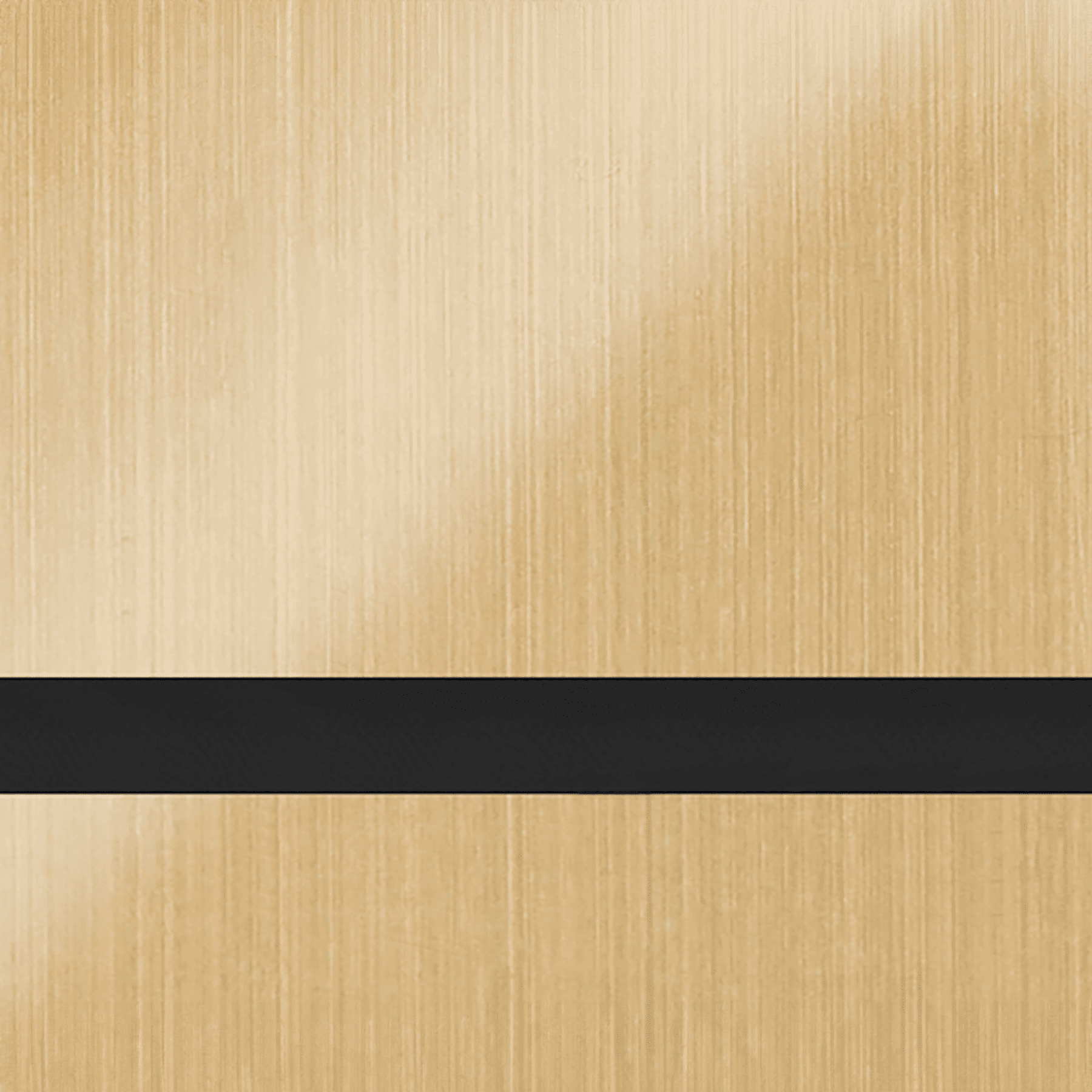 24X49 Duets Brushed Satin Gold/Black 1/16 Rotary Metals  With Clear Guard