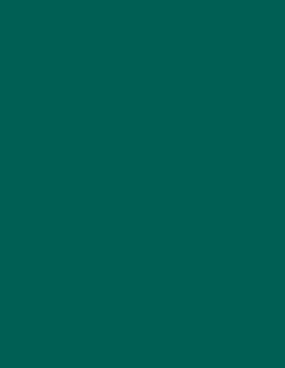 UNDSZ EVERGREEN SUBST 1/8