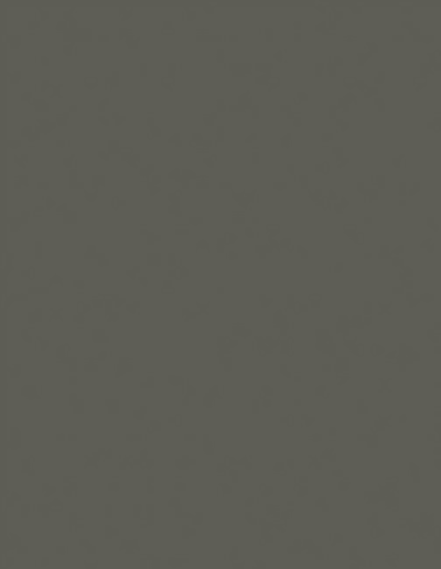 24X49 FRST PLUM SUBST 1/8