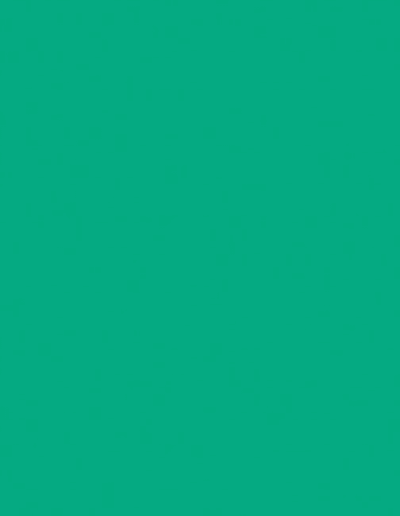24X49 APPL MINT 1/32