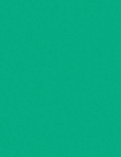 UNDERSIZE MINT SUBST 1/16