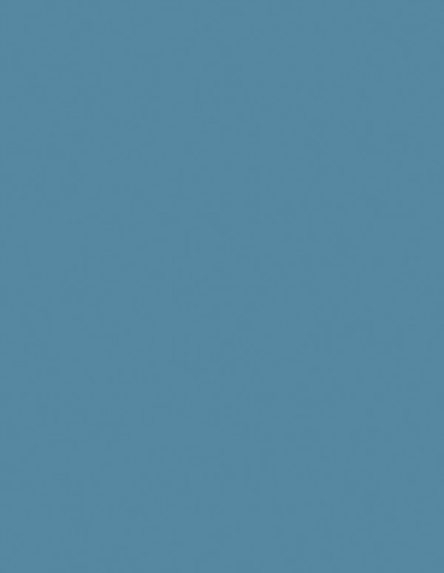 24X49 APPL SLATE BLU 1/32