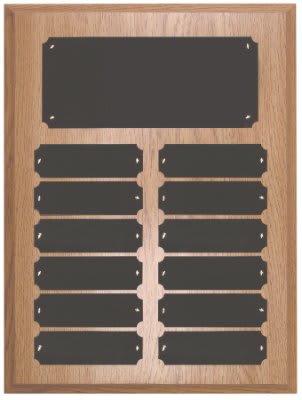 12 PLATE OAK FIN COMPLETE