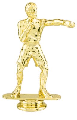 GLD 5″ M BOXER