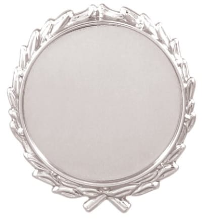 SLV 2″ INSRT HLDR-PLQ MNT
