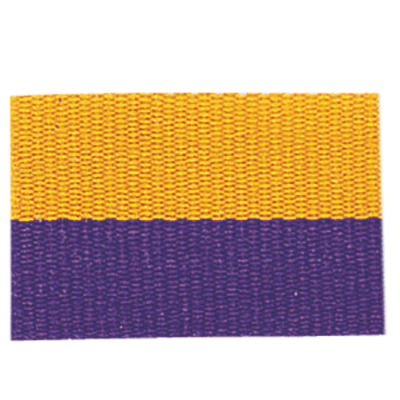 1.5X32 PURPL/GLD NCK RIBN