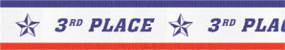 7/8X32 3RD PL NECK RIBBON