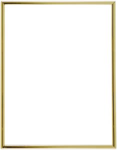 GLD 7X9 ADH SLID-IN FRAME